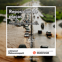 Reposición de placas