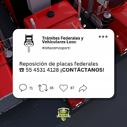 Reposición de placas federales